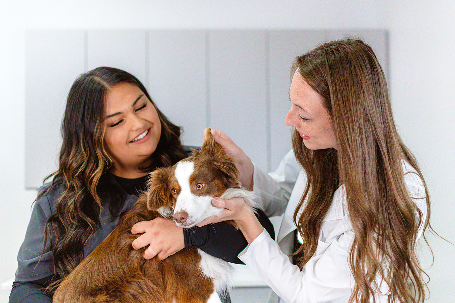 A veterinarian kneels on the floor, gently holding and examining a small dog while talking to its owner, who is smiling.